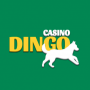 Casino Dingo Site